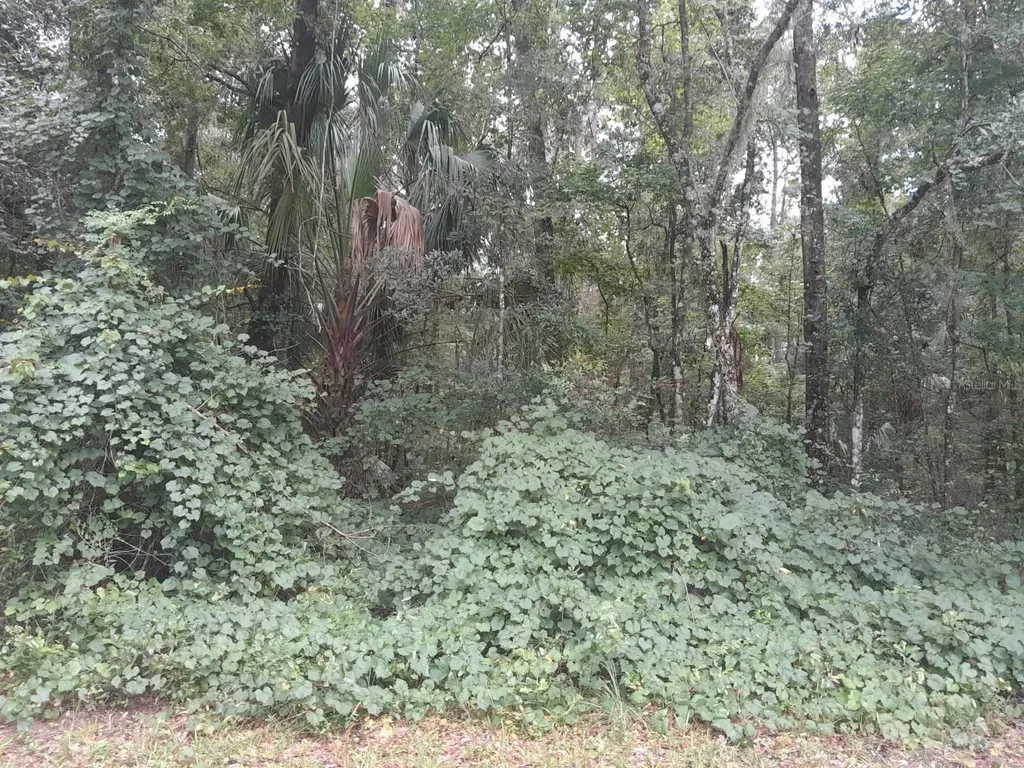 Tbd NW 172nd Place Reddick FL 32686