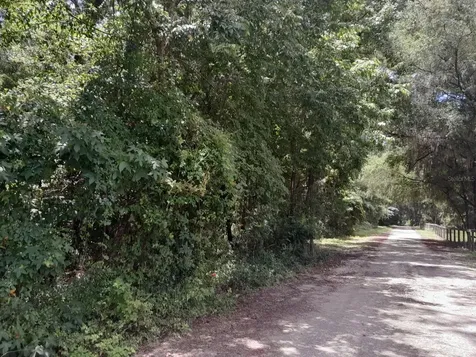 Tbd NW 172nd Place Reddick FL 32686