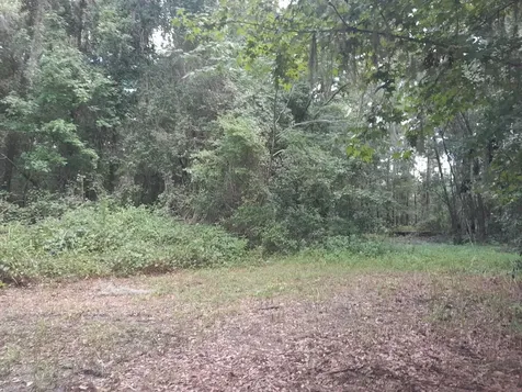 Tbd NW 172nd Place Reddick FL 32686