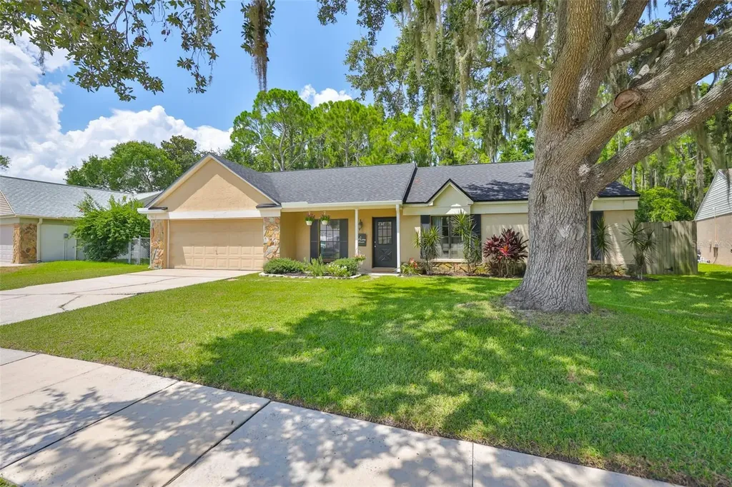 3724 Murray Dale Drive Valrico FL 33596