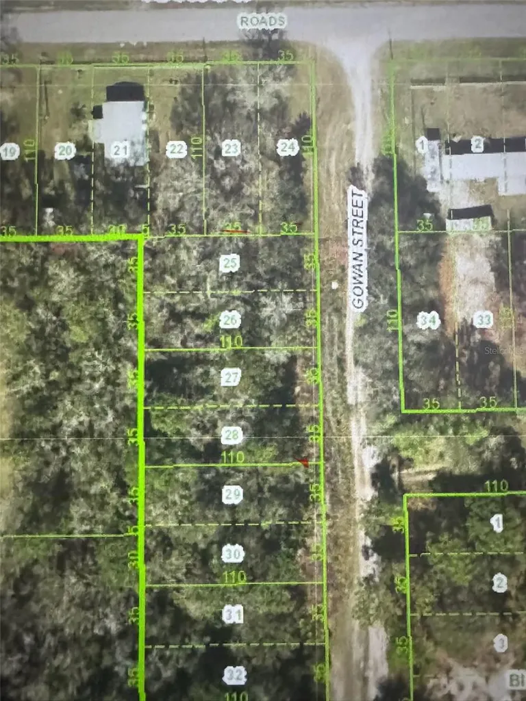Gowan Street New Port Richey FL 34654