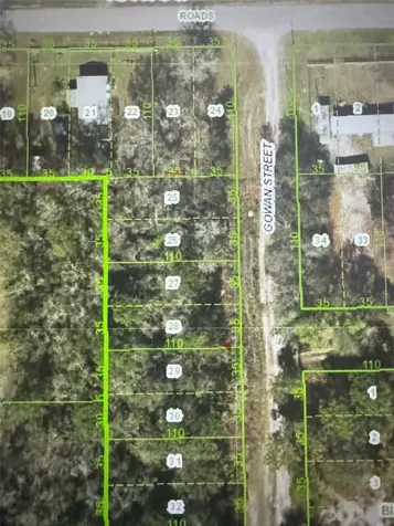 Gowan Street New Port Richey FL 34654