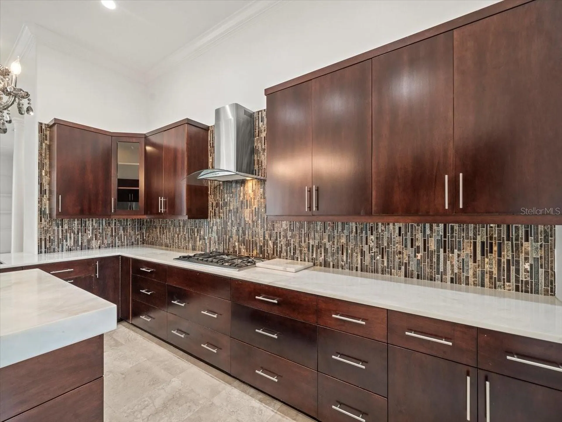 4529 Cheval Boulevard Lutz FL 33558