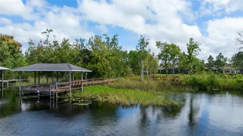 2016 Castelli Boulevard Mount Dora FL 32757