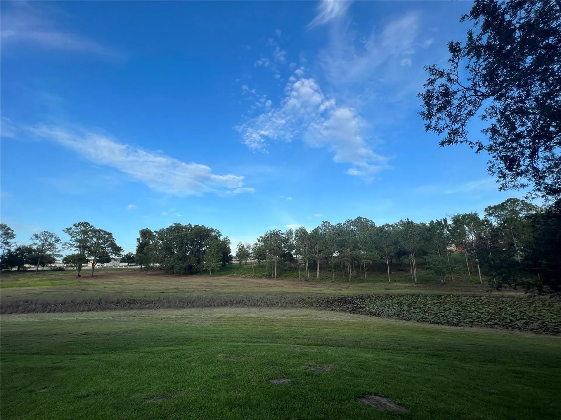 5526 Tiny Road Winter Garden FL 34787