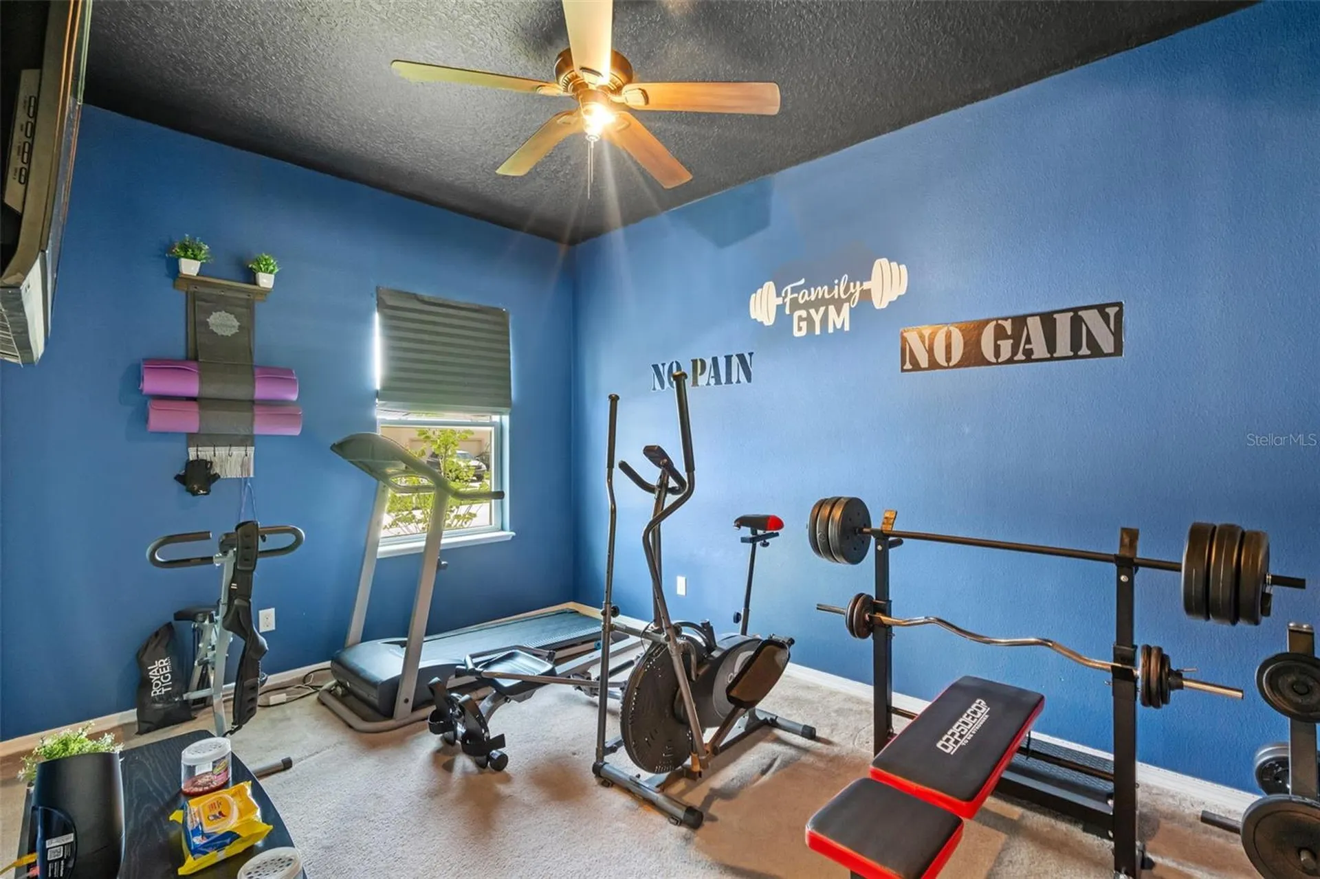 3509 Spring Creek Road Dundee FL 33838