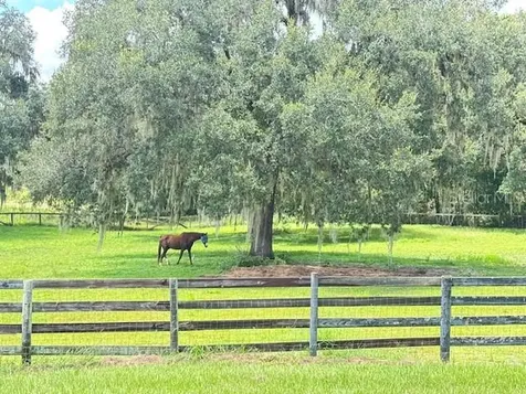 11105 N Us Highway 27 Ocala FL 34482