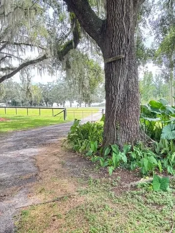 11105 N Us Highway 27 Ocala FL 34482