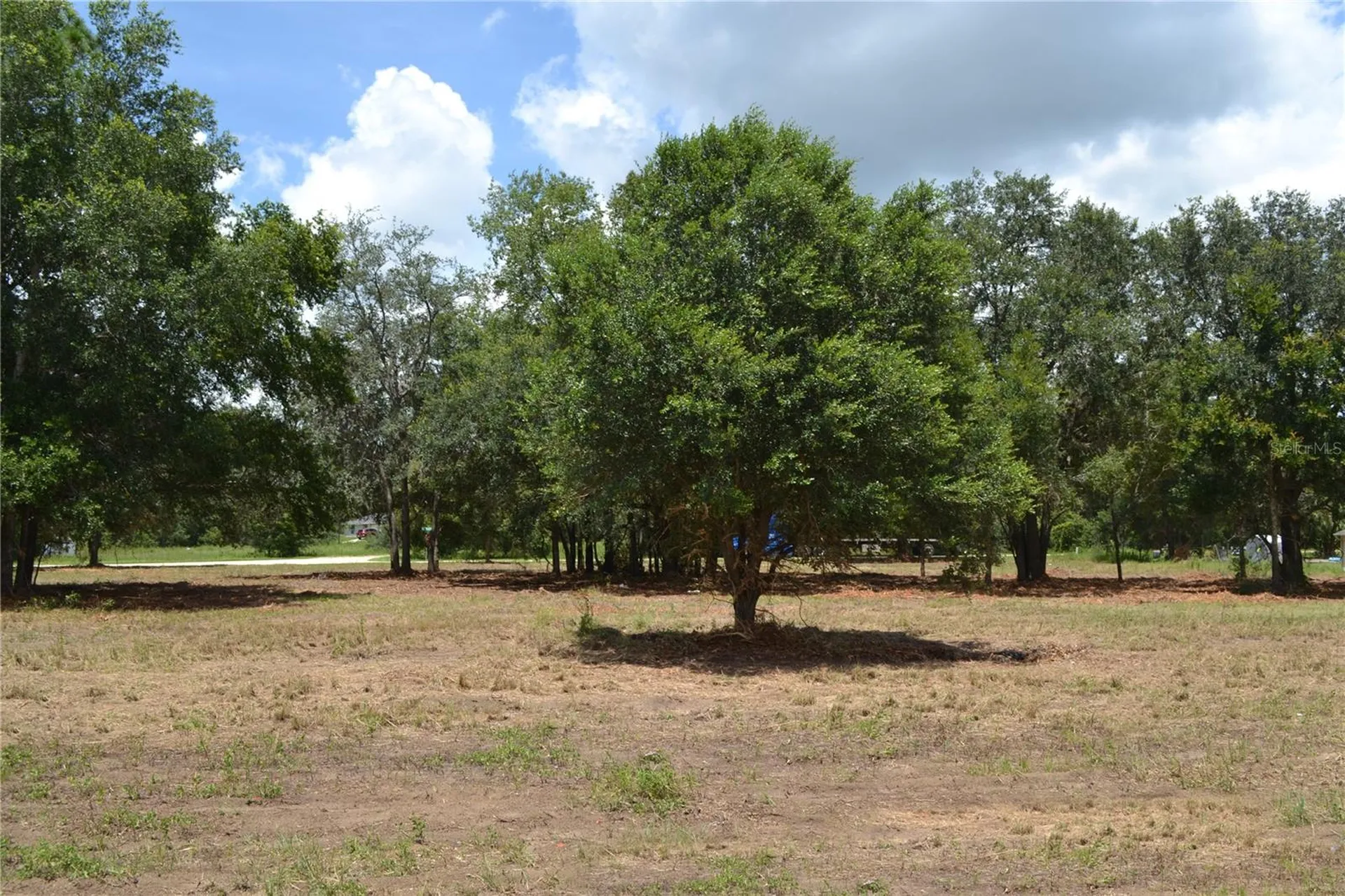 00 W Highway 40 Ocala FL 34481