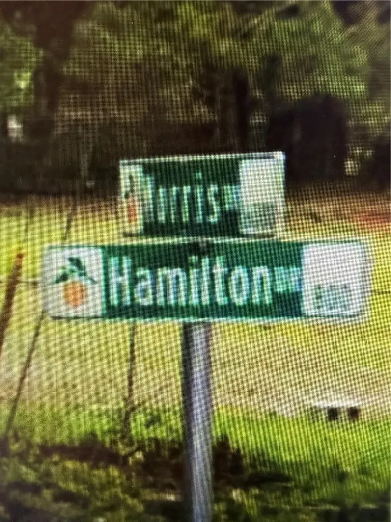 522 Hamilton Drive Orlando FL 32833