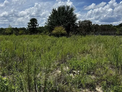 128 W Washington Street Hawthorne FL 32640