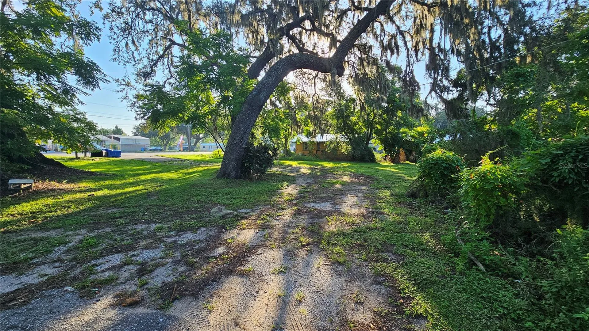 13603 E 92 Highway Dover FL 33527