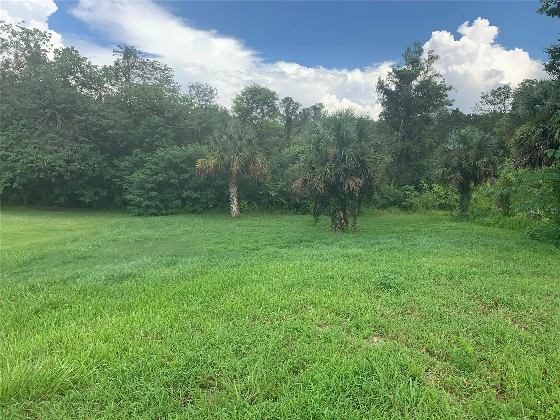 Tbd SW 9th Avenue Ocala FL 34471