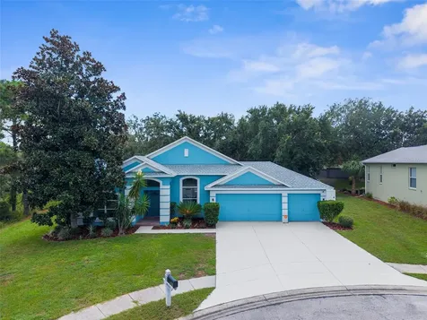 14092 Autumnwind Court Spring Hill FL 34609
