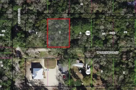 10465 W Larchwood Street Homosassa FL 34448