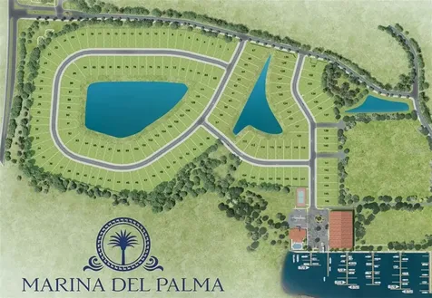 50 Del Palma Drive Palm Coast FL 32137