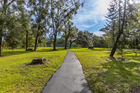 11407 Orilla Del Rio Place Temple Terrace FL 33617
