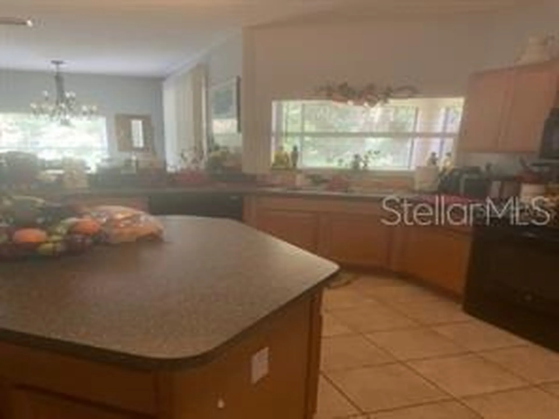 44 Pinetree Drive Palm Coast FL 32164