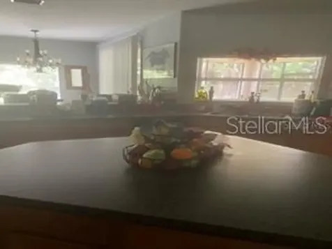 44 Pinetree Drive Palm Coast FL 32164