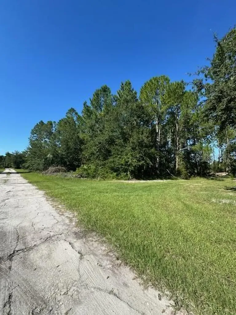 Woodland Avenue Paisley FL 32767