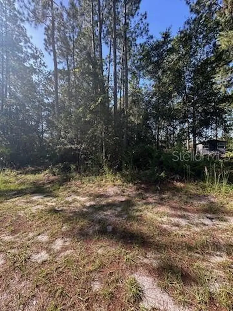 Woodland Avenue Paisley FL 32767