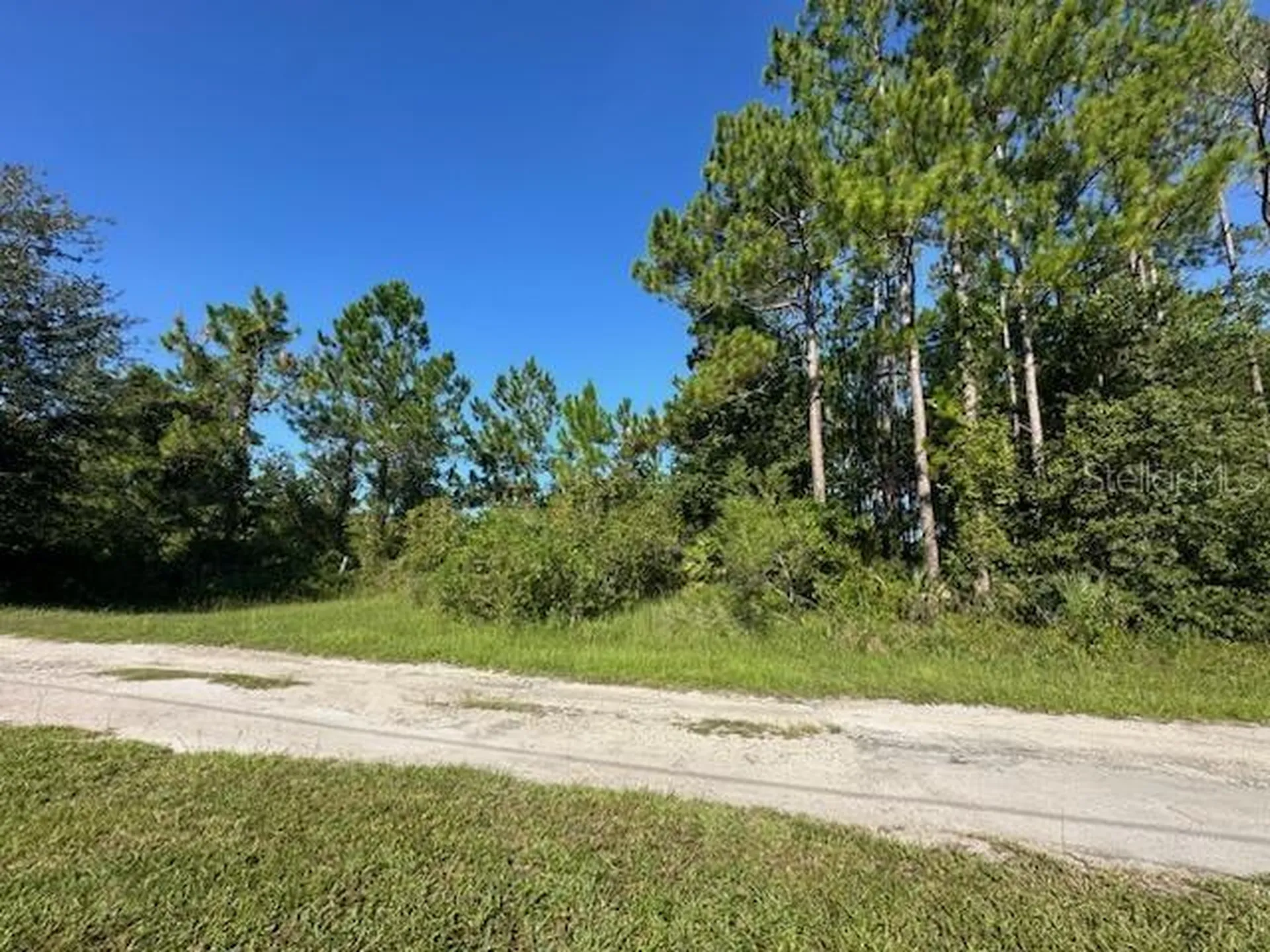 Woodland Avenue Paisley FL 32767