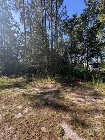 Woodland Avenue Paisley FL 32767