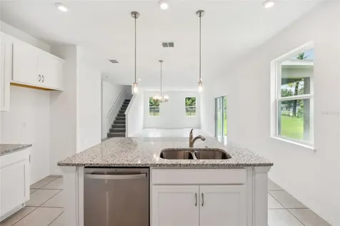 12983 Trovita Drive Grand Island FL 32735