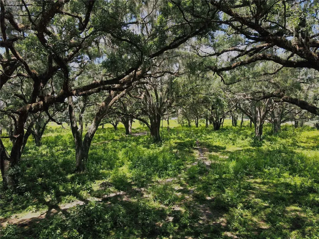 1220 N Us Highway 41 Dunnellon FL 34432