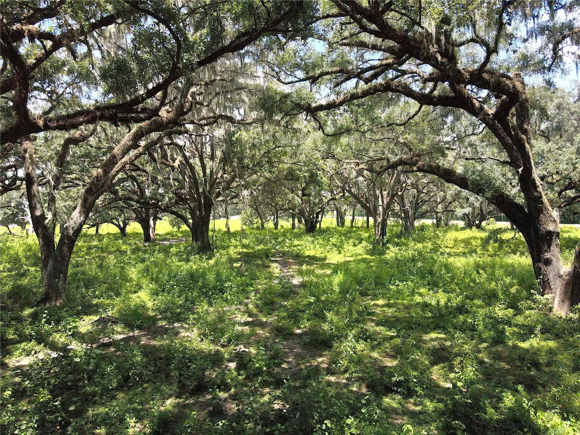 1220 N Us Highway 41 Dunnellon FL 34432