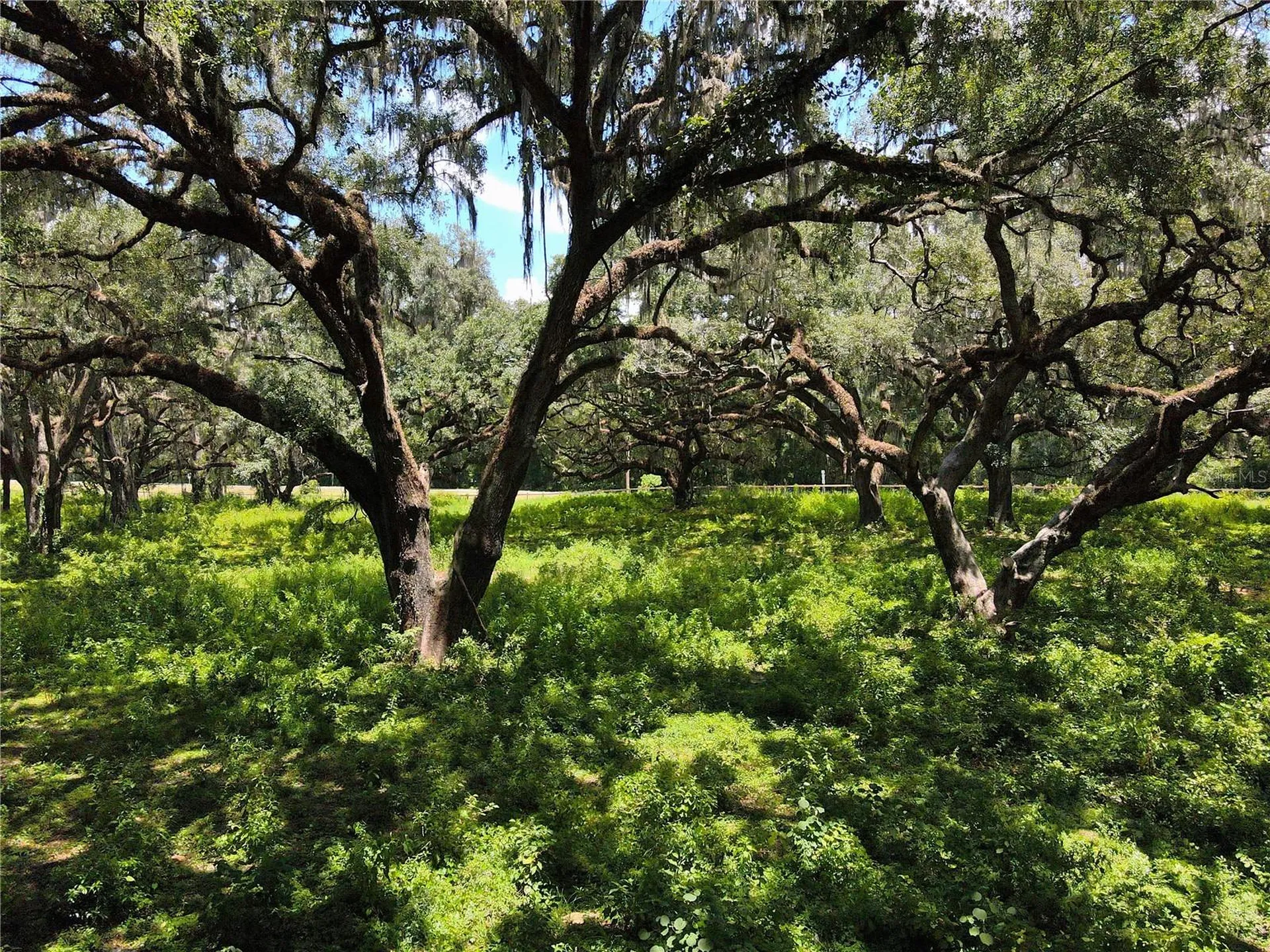 1220 N Us Highway 41 Dunnellon FL 34432