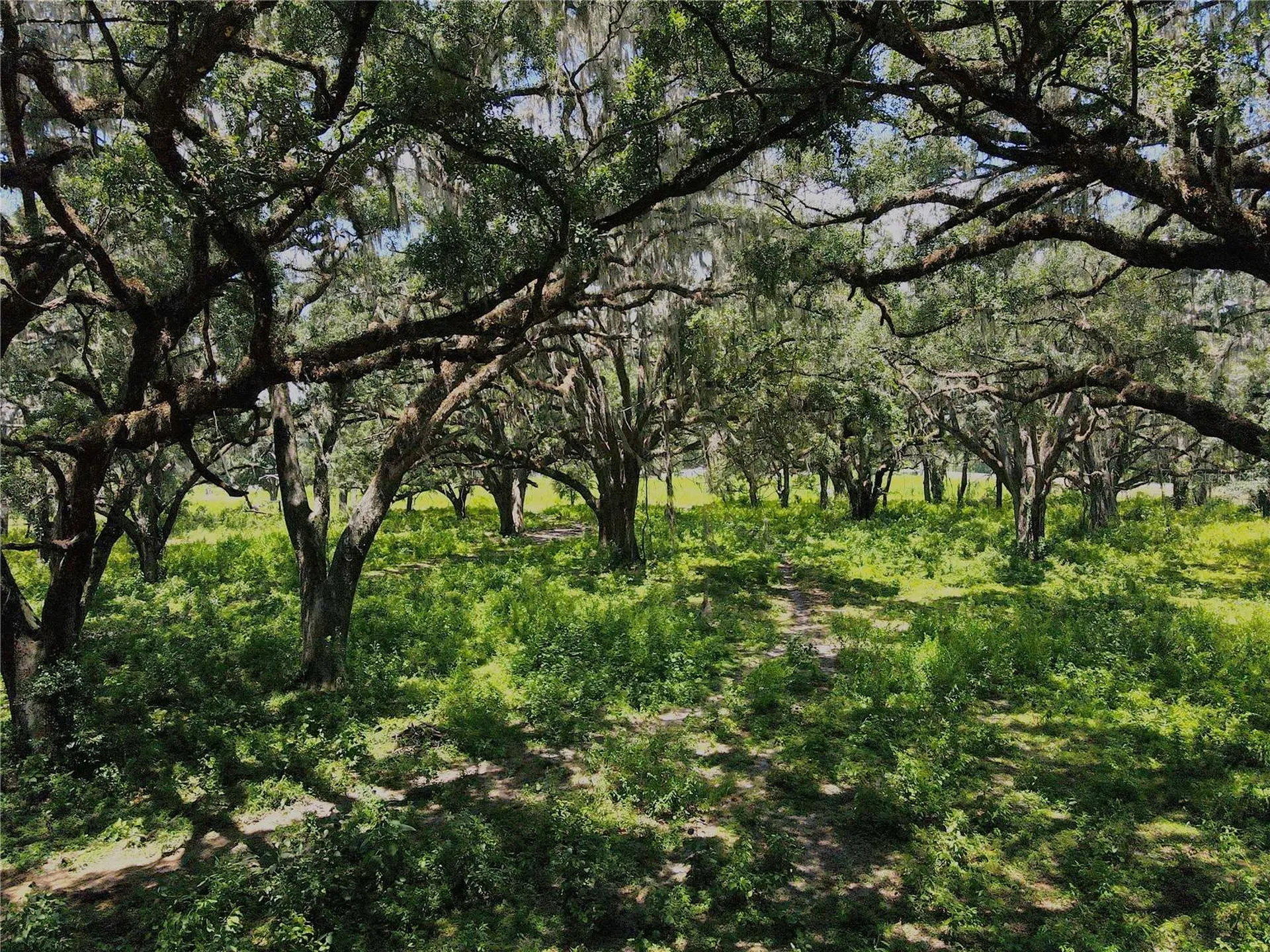 1220 N Us Highway 41 Dunnellon FL 34432