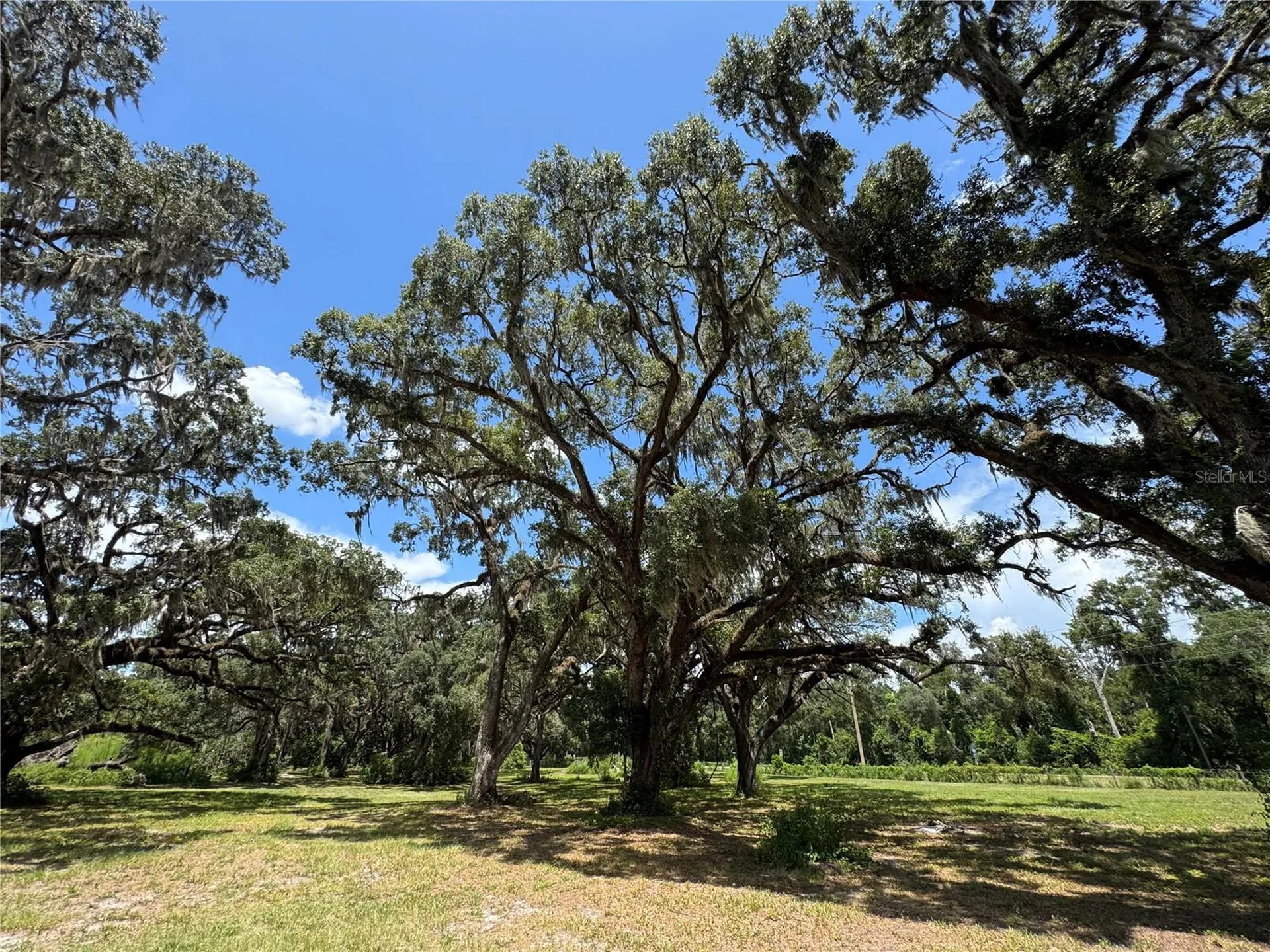 1220 N Us Highway 41 Dunnellon FL 34432