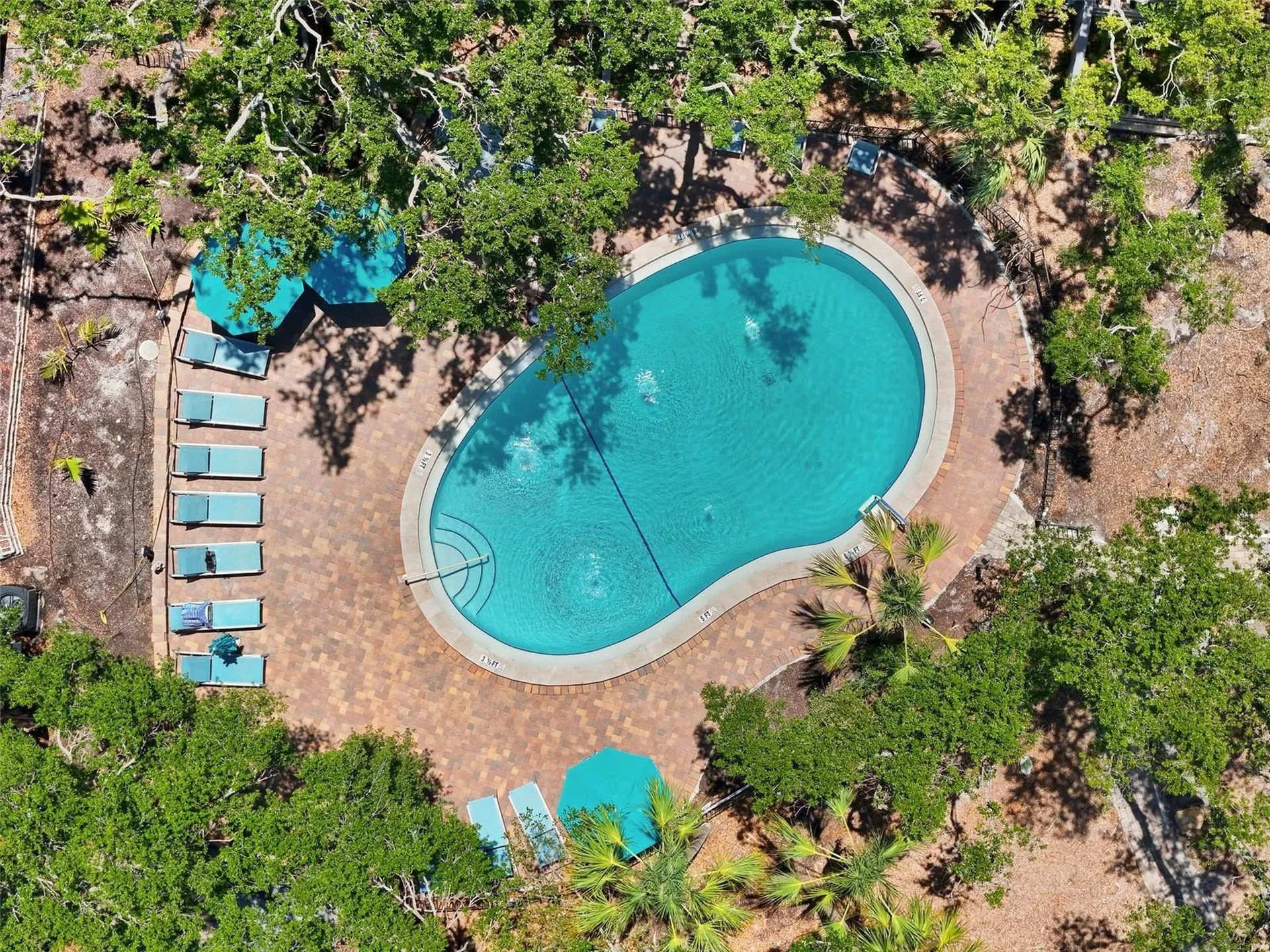 1255 E Peppertree Drive Sarasota FL 34242