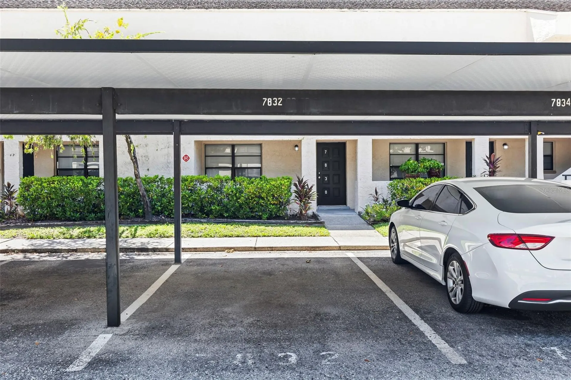 7832 Niagara Avenue Tampa FL 33617