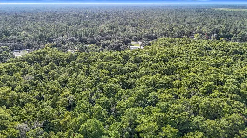 0 Thomas Boulevard Hudson FL 34667