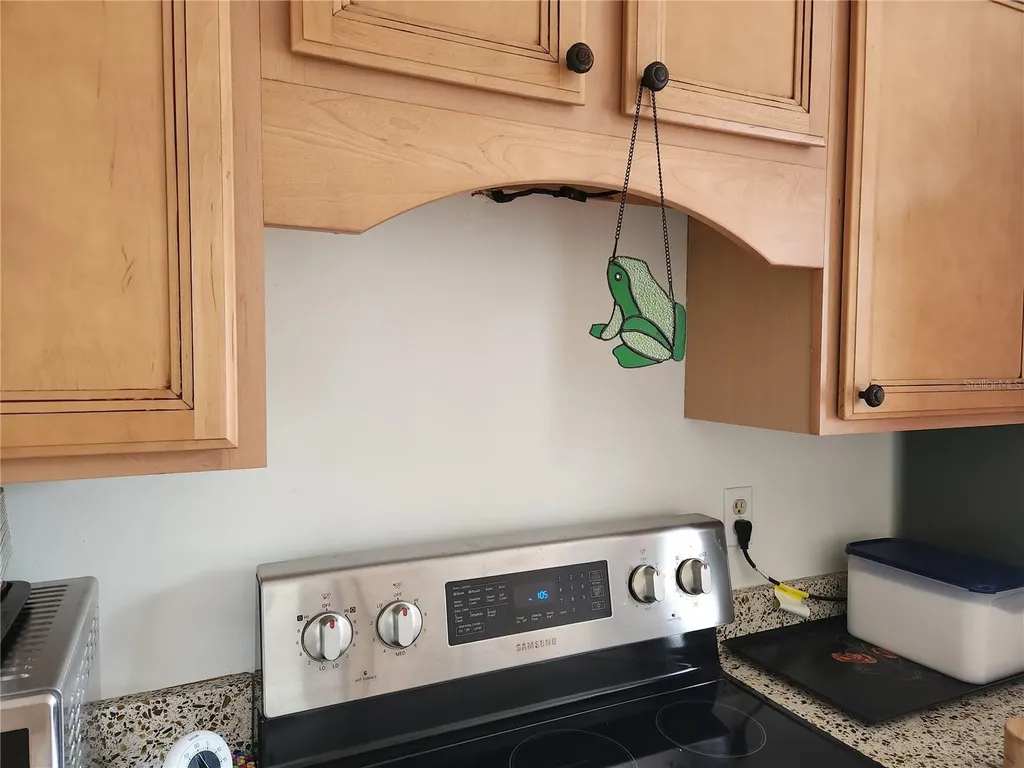 2119 Elm Street Dunedin FL 34698