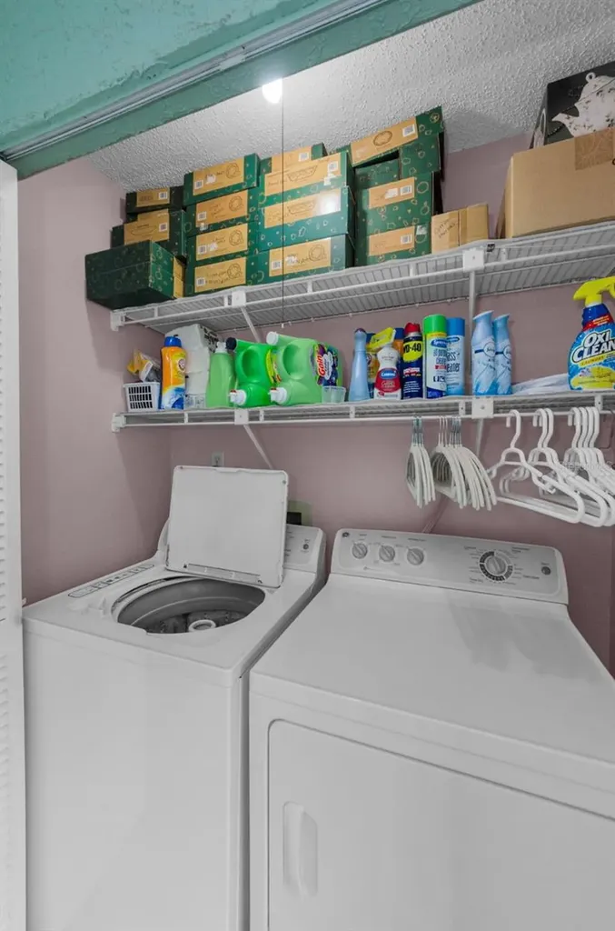 2119 Elm Street Dunedin FL 34698