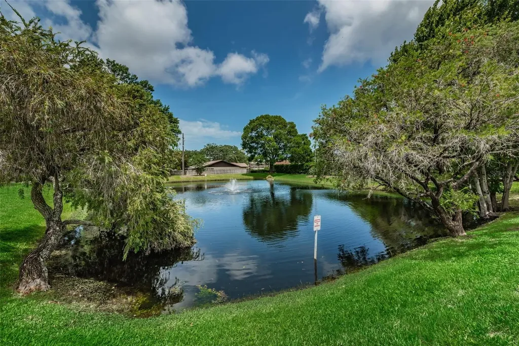 2119 Elm Street Dunedin FL 34698