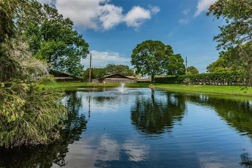 2119 Elm Street Dunedin FL 34698