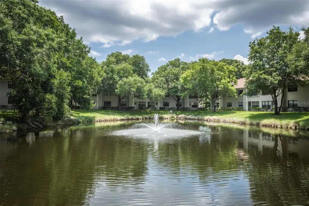 2119 Elm Street Dunedin FL 34698