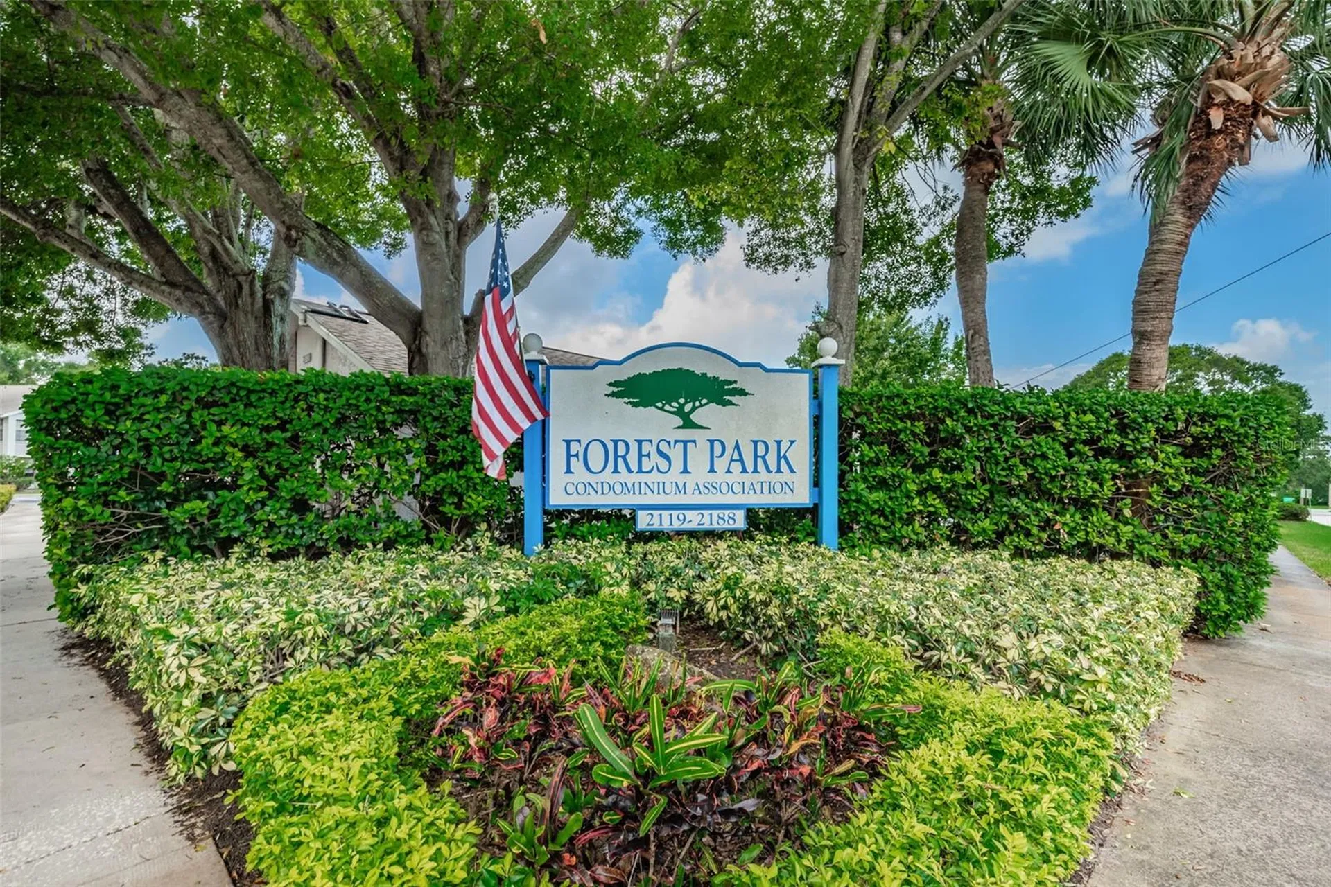 2119 Elm Street Dunedin FL 34698