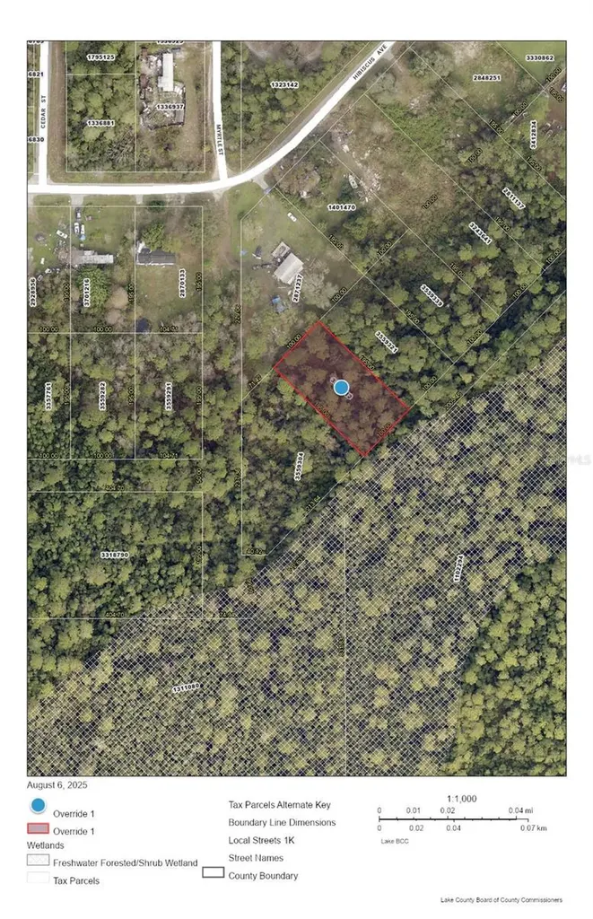 Raccoon Street Paisley FL 32767