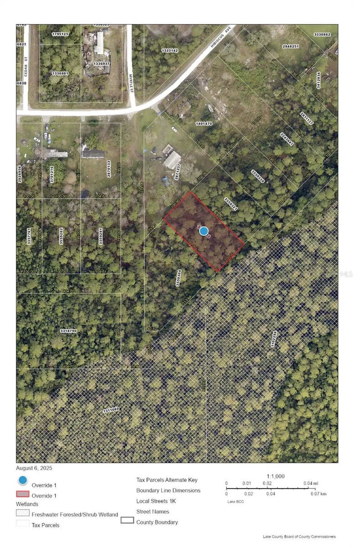 Raccoon Street Paisley FL 32767