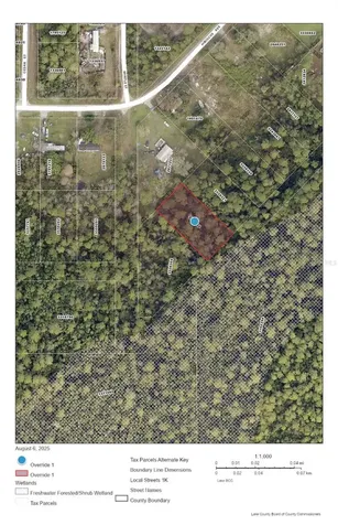 Raccoon Street Paisley FL 32767