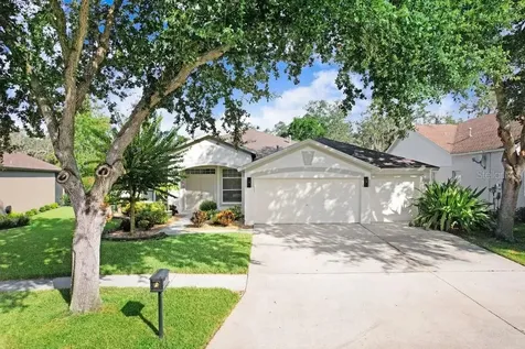 14826 Heronglen Drive Lithia FL 33547