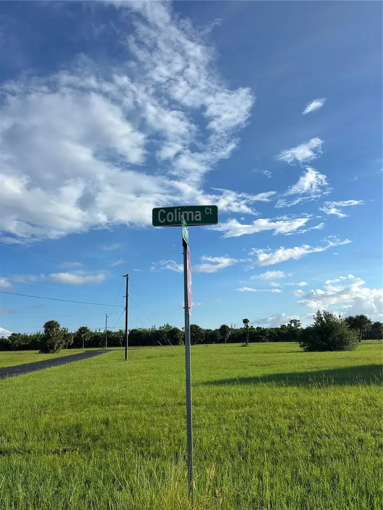 24163 Colima Court Punta Gorda FL 33955