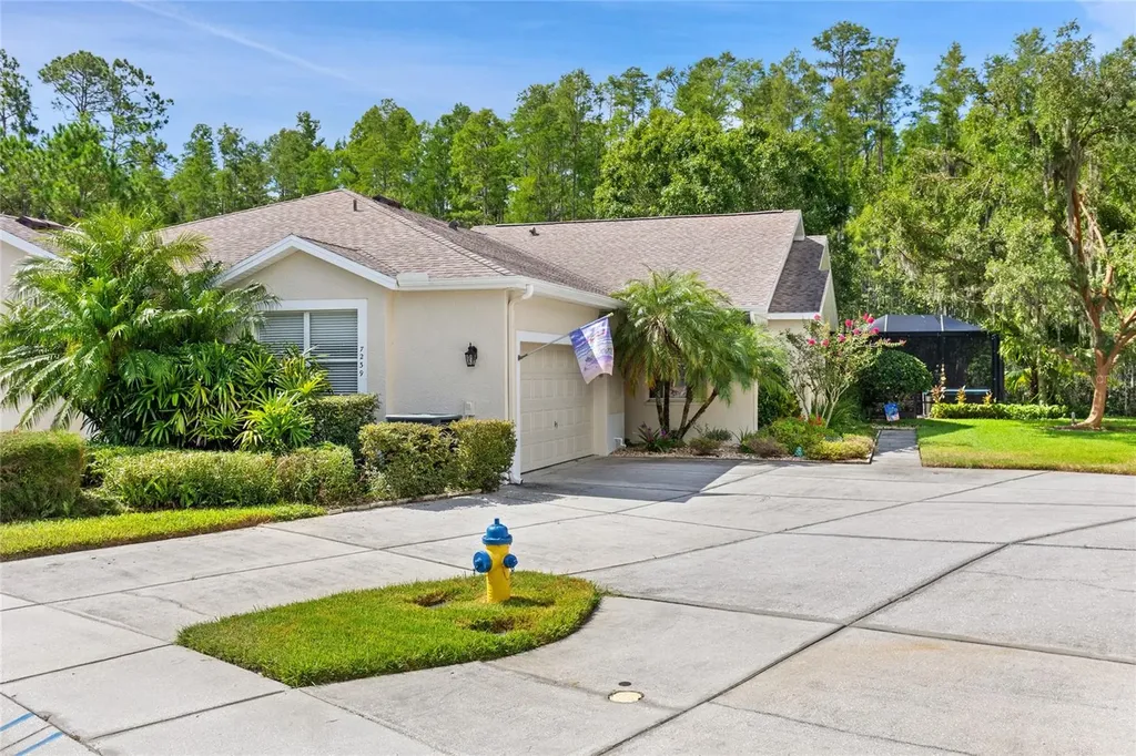 7239 Cleopatra Drive Land O Lakes FL 34637