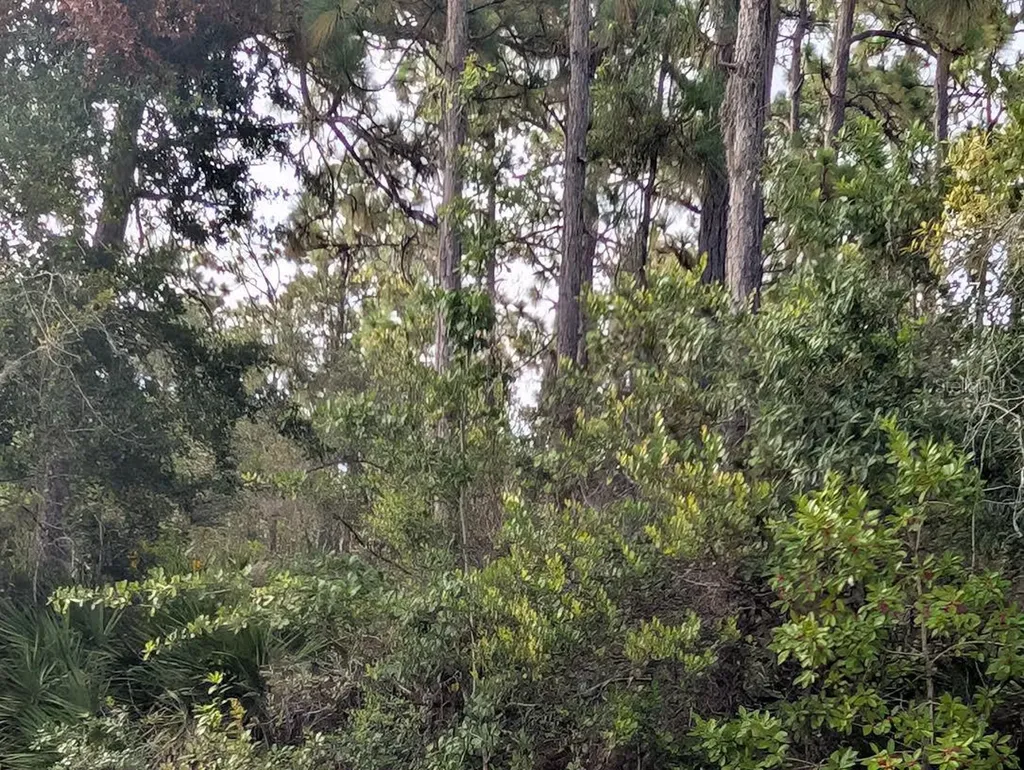523 Azalea Drive Indian Lake Estates FL 33855