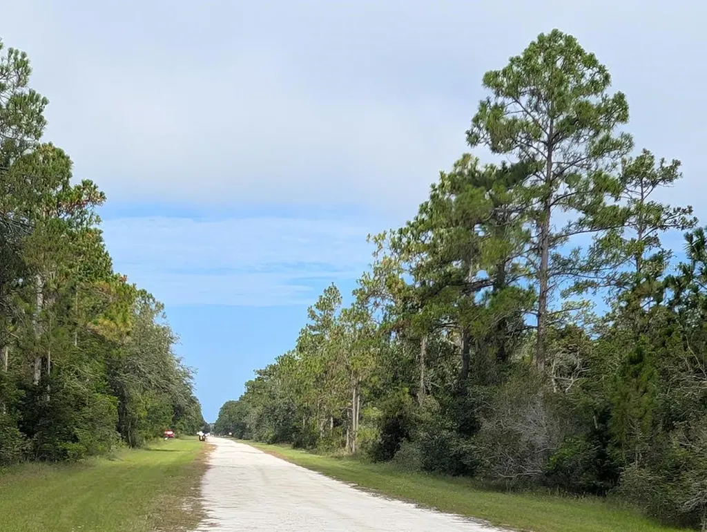 523 Azalea Drive Indian Lake Estates FL 33855